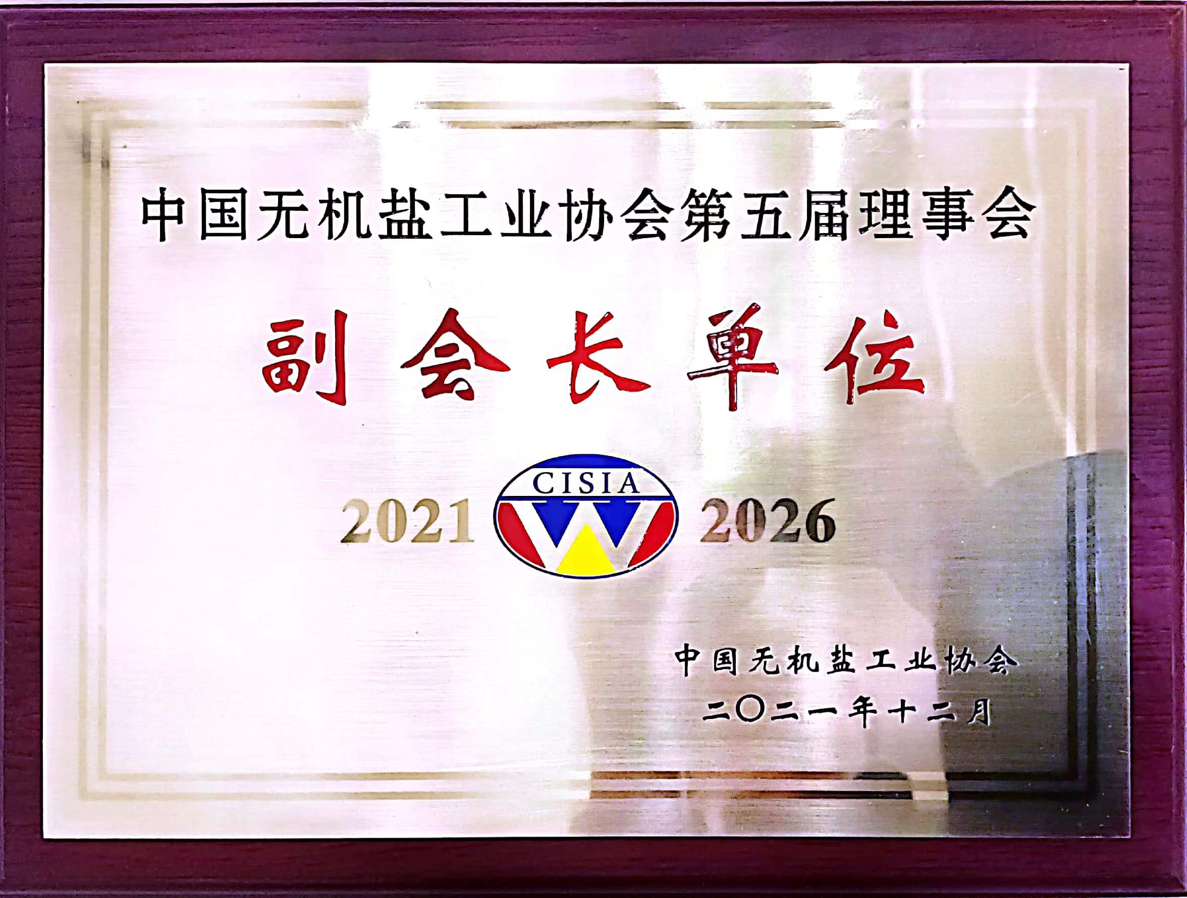 中國無機鹽工業(yè)協(xié)會副會長單位